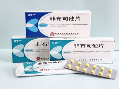 非布司他片（20mg、 40mg）